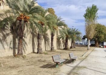 Eξωραΐζεται το Πάρκο Νεολαίας στη Λεωφόρο Ικάρου