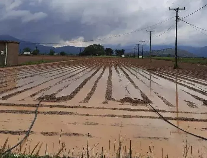 Η νεροποντή στο Λασίθι “έπνιξε” τις καλλιέργειες – Σε εξέλιξη η αποτίμηση από τον ΕΛΓΑ
