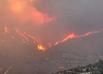 Πύρινη Κόλαση στη Λεμεσό: Δύο Απανθρακωμένοι Νεκροί από τη Φονική Πυρκαγιά