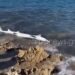 Απίστευτες εικόνες στην παραλία της Κρήτης: Ξεβράστηκε καρχαριοειδές στα βράχια