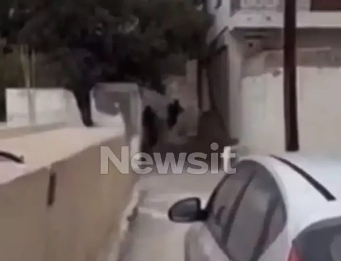 Βορίζια: Συνελήφθη και ο δεύτερος άντρας που εμφανίζεται στο βίντεο με τον γαμπρό του Καργάκη – Δείτε το βίντεο