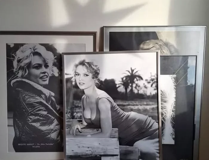 Εφυγε απο την ζωή η Μπριζίτ Μπαρντό: H απόπειρα αυτοκτονίας και η εγκατάλειψη του γιου της – Η τραγική ιστορία