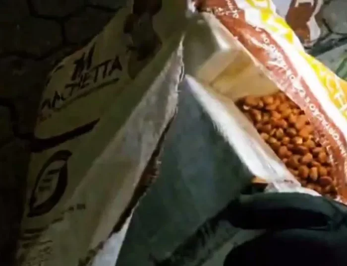 Κατάσχεση-μαμούθ : Πάνω από 435 κιλά κοκαΐνης αξίας 70 εκατομμυρίων ευρώ