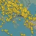 Βlackout στις πτήσεις σε όλη τη χώρα – Ξεκινά η αποκατάσταση του τεχνικού ζητήματος