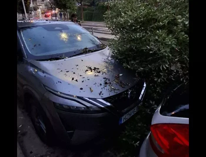 Ηράκλειο: Πτώσεις δέντρων από ολιγόλεπτη καταιγίδα