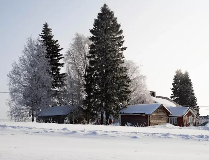 Στη Φινλανδία θερμαίνουν τα σπίτια τους χωρίς καλοριφέρ, αλλά με ένα καθημερινό αντικείμενο που έχουμε όλοι