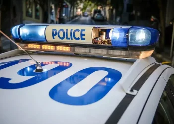 Αστυνομικό Δελτίο