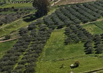 Νεκρός άνδρας εντοπίστηκε σε χωράφι – Στο μικροσκόπιο τα αίτια του θανάτου