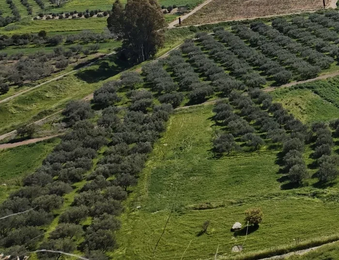Νεκρός άνδρας εντοπίστηκε σε χωράφι – Στο μικροσκόπιο τα αίτια του θανάτου