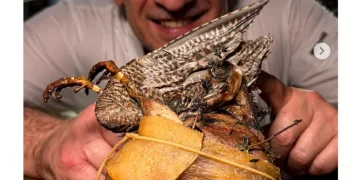 Χρυσοί Σκούφοι 2026: τα εστιατόρια που μπήκαν φέτος στον χάρτη των διακρίσεων