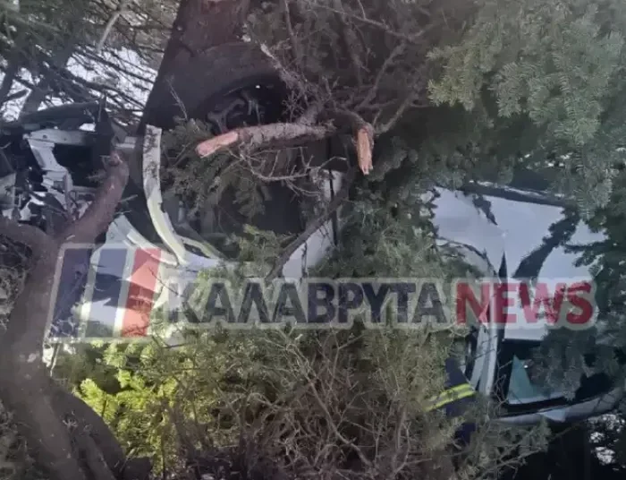 «Άγιο είχε» νεαρή οδηγός: Αυτοκίνητο διαλύθηκε σε πρόσκρουση με δέντρο (ΦΩΤΟ)