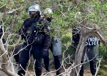 Συντονισμένη αστυνομική επιχείρηση με συλλήψεις στη Γαύδο – Κατεδαφίστηκαν 23 παραπήγματα σε καβάτζες