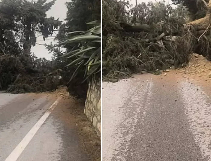 Πτώση τεράστιου δέντρου λόγω των ανέμων!