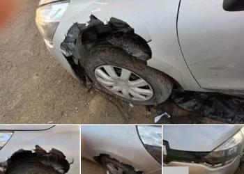 ΗΡΑΚΛΕΙΟ Σκύλος διέλυσε αυτοκινήτο (vid)
