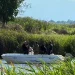 Δεμένος με σύρμα και αλυσίδα βρέθηκε ο 54χρονος που σκότωσαν και πέταξαν στον ποταμό Λουδία