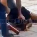 Σκληρό βίντεο: Δύο διαρρήκτες «μπούκαραν» σε σπίτι στην Καλλιθέα, ο ένοικος τους επιτέθηκε και τους κυνήγησε με ρόπαλο του μπέιζμπολ – Συνελήφθησαν και οι τρεις