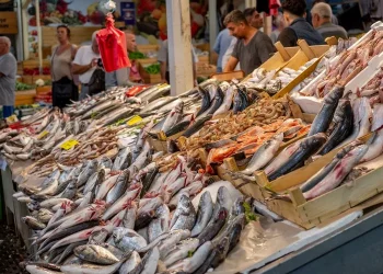 BBC: Το πιο υγιεινό ψάρι στον κόσμο – Είναι πιο θρεπτικό από τον σολομό