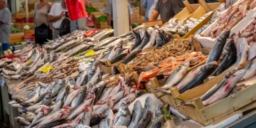 BBC: Το πιο υγιεινό ψάρι στον κόσμο – Είναι πιο θρεπτικό από τον σολομό