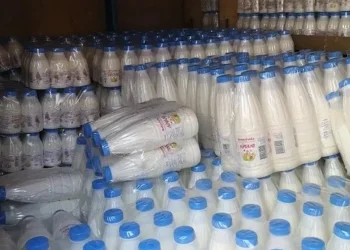 ΑΑΔΕ : Κατέσχεσε και κατέστρεψε δύο τόνους επικίνδυνων γαλακτοκομικών από τη Βουλγαρία
