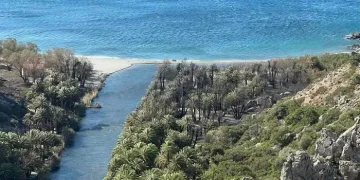 Φωτογραφικό υλικό από την περιοχή του Φοινικόδασους Πρέβελη μετά την πρόσφατη πυρκαγιά
