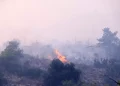 Συνεχίζουν να επιχειρούν δυνάμεις της πυροσβεστικής στο Ρέθυμνο – Ακόμα δεν υπάρχει εναέρια συνδρομή