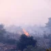 Συνεχίζουν να επιχειρούν δυνάμεις της πυροσβεστικής στο Ρέθυμνο – Ακόμα δεν υπάρχει εναέρια συνδρομή