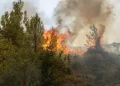 Συνεχίζουν να επιχειρούν δυνάμεις της πυροσβεστικής στο Ρέθυμνο – Ακόμα δεν υπάρχει εναέρια συνδρομή