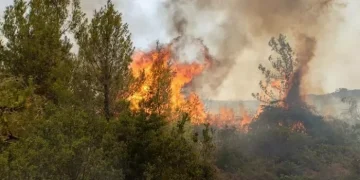 Συνεχίζουν να επιχειρούν δυνάμεις της πυροσβεστικής στο Ρέθυμνο – Ακόμα δεν υπάρχει εναέρια συνδρομή