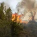 Συνεχίζουν να επιχειρούν δυνάμεις της πυροσβεστικής στο Ρέθυμνο – Ακόμα δεν υπάρχει εναέρια συνδρομή