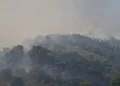 Συνεχίζουν να επιχειρούν δυνάμεις της πυροσβεστικής στο Ρέθυμνο – Ακόμα δεν υπάρχει εναέρια συνδρομή