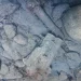 Ιεράπετρα: Εντοπίστηκαν παλιά πυρομαχικά στον βυθό – Περιοριστικά μέτρα από το Λιμεναρχείο