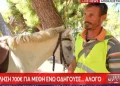 Πρόστιμο 700 ευρώ και αφαίρεση βαθμών από το δίπλωμα αυτοκινήτου επειδή οδηγούσε μεθυσμένος… το άλογό του