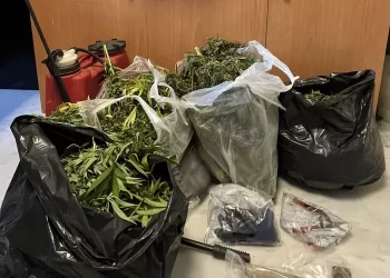 ΜΑΛΑΔΕΣ: Πυροβόλησε και τραυμάτισε τρεις αστυνομικούς το 2008 ο 50χρονος χασισοκαλιεργήτης