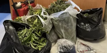 ΜΑΛΑΔΕΣ: Πυροβόλησε και τραυμάτισε τρεις αστυνομικούς το 2008 ο 50χρονος χασισοκαλιεργήτης