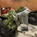 ΜΑΛΑΔΕΣ: Πυροβόλησε και τραυμάτισε τρεις αστυνομικούς το 2008 ο 50χρονος χασισοκαλιεργήτης